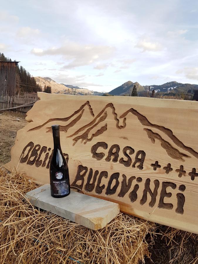 Casa Obcina Bucovinei Hotel Fundu Moldovei Exterior foto